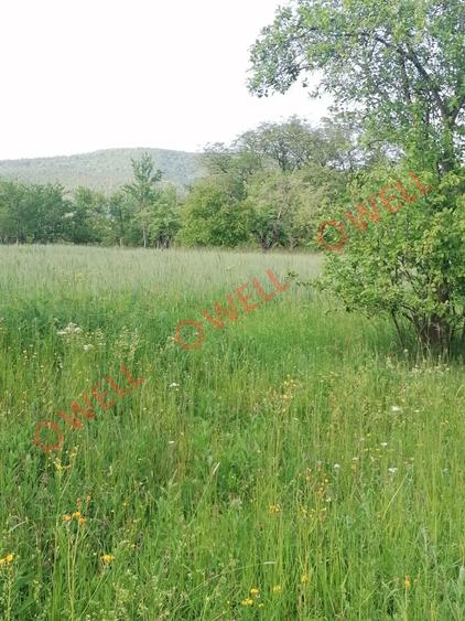 De vânzare teren intravilan în Estelnic! - 8