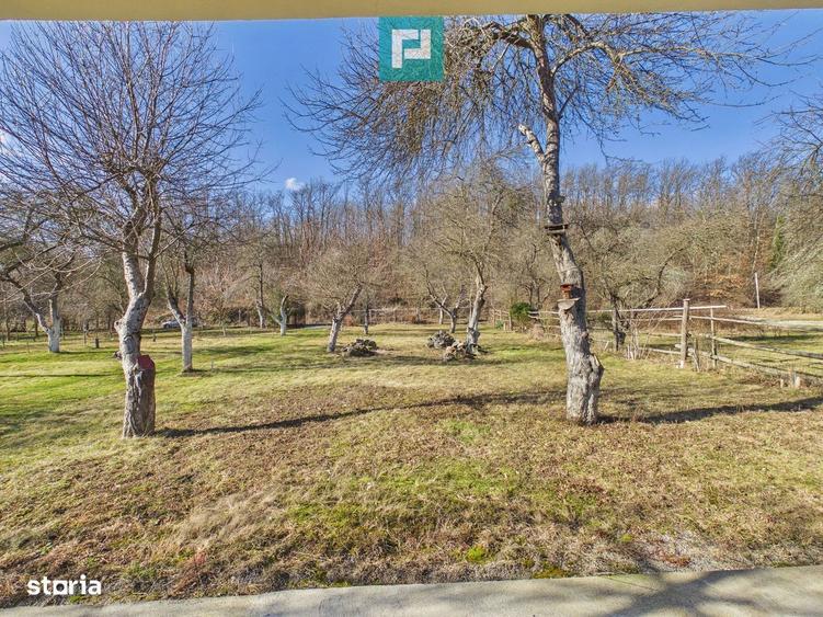 Cabana deosebita cu 4 camere in Casoaia - 6