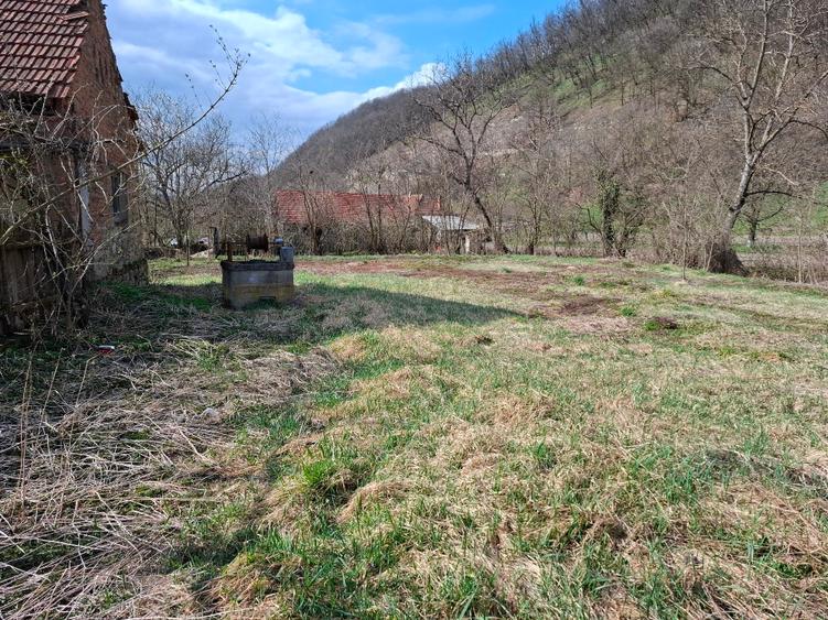 Vând casa Stancesti (Dobra) - 10