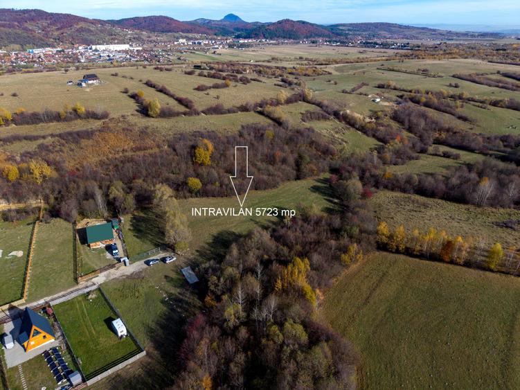 Teren intravilan 5723mp Zarnesti Tohanita- case de vacanta,investitie in turism - 3
