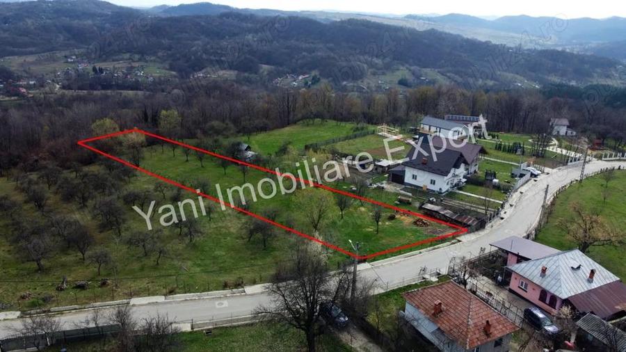 Teren de vanzare in comuna Valea Iasului, sat Cerbureni, jude? Arge?. - 11