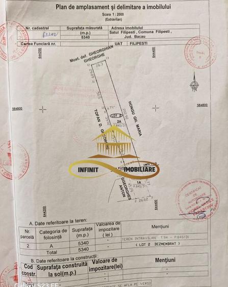 Teren de vanzare Filipesti Bacau 6838 mp - 13