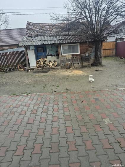Casa de vinzare linga rupea jud bv - 4