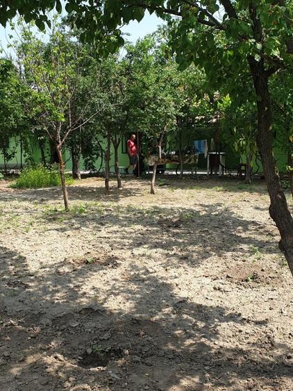 Proprietar unic vând direct, casă/gospodărie completă în comuna Adâncata, IL - 4