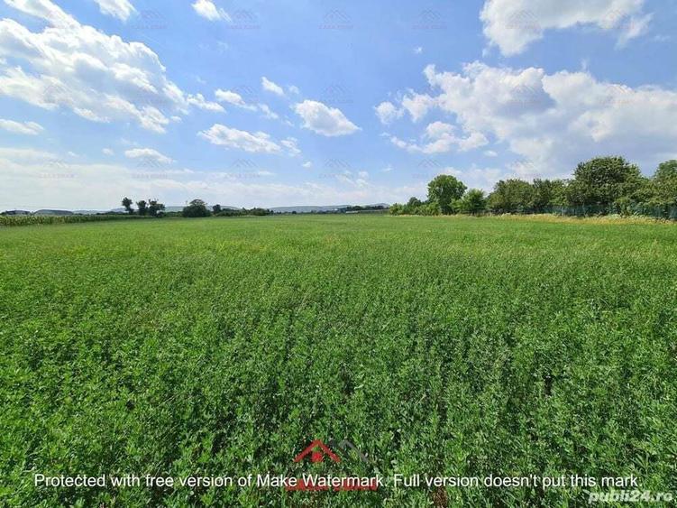 Teren intravilan in Urleta 5300mp--45.050e - 5