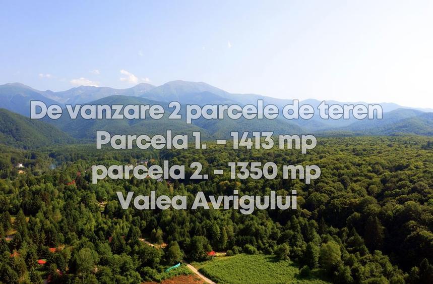 Teren intravilan - Valea Avrigului - 1