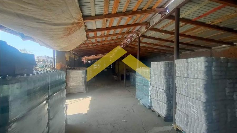 Teren 1,8 ha plus cladiri de vanzare in localitatea Sebis, Arad - 7