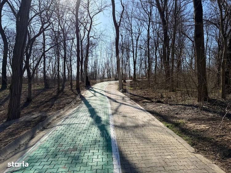 Teren intravilan de vanzare - Ocna Sibiului - 10