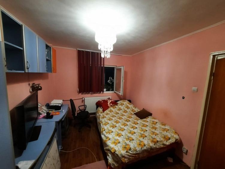 Lacul Tei, stradal, aproape Parcul Circului - 10