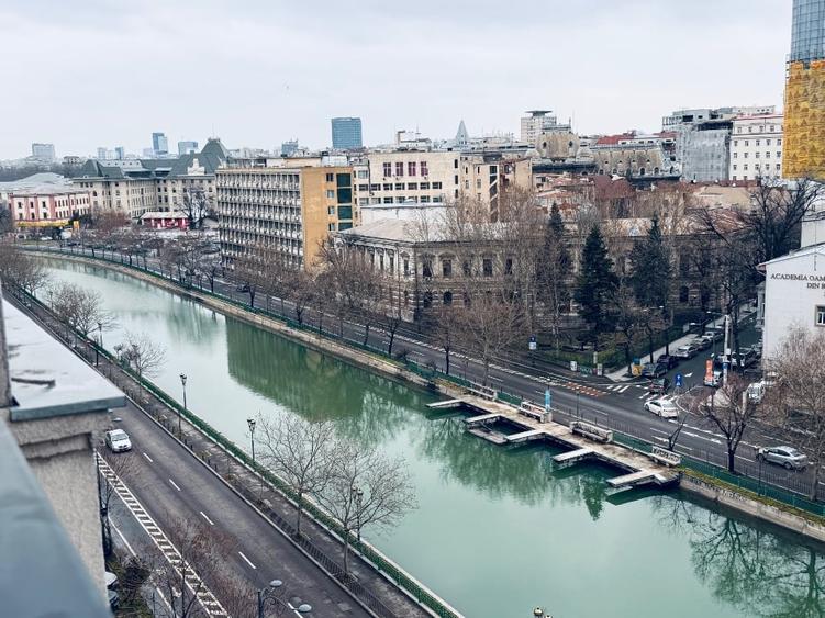 Spații Comerciale Închiriere/Vanzare/Rent/Sale - 3