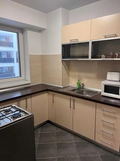 Apartament cu 1 camera langa Iulius Mall si FSEGA - 4