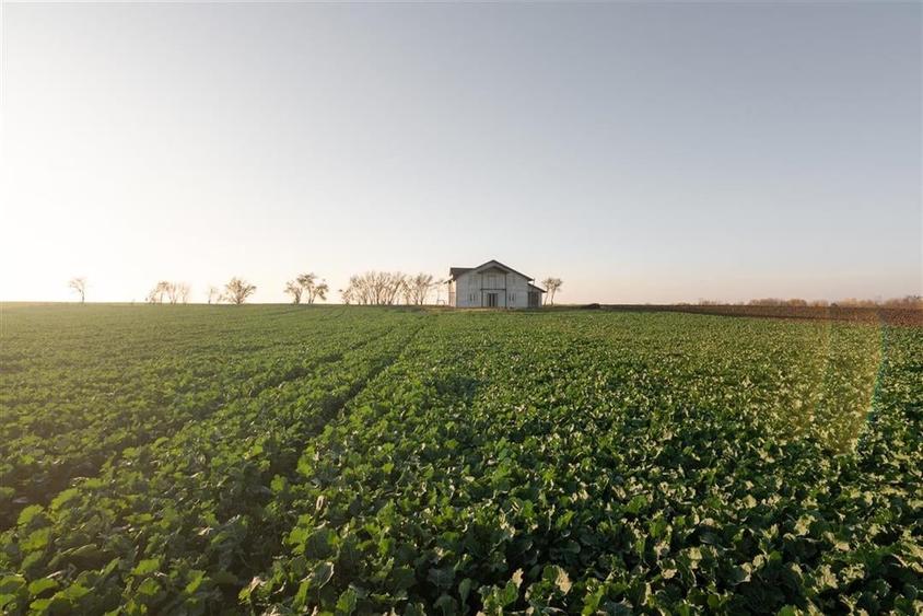 RECO casa Inand la rosu cu teren imens - 31