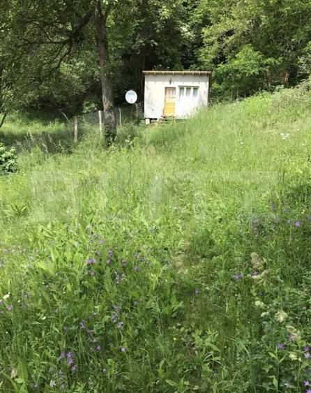 Teren Construcții intravilan de 1000 mp, în Băbana