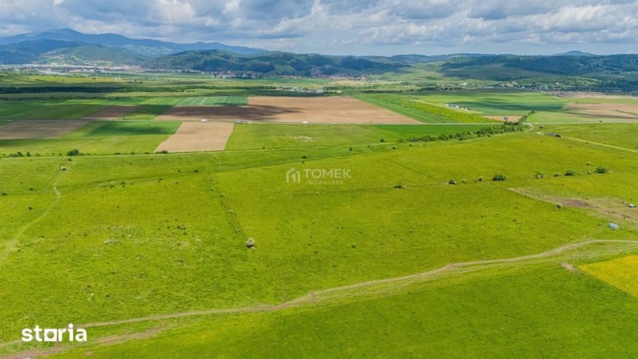 Teren de 5800 mp, în Central