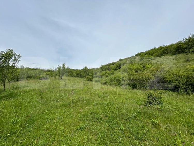 Casă individuală cu 8 camere cu Garaj în Bunești
