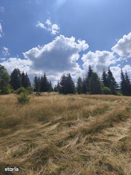 Teren de 5000 mp, în Beliș