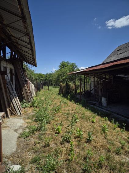Casa batraneasca, la tara, 3646 mp, Jud. Valcea - 7