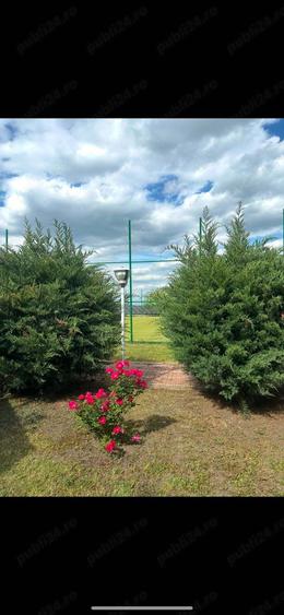 Casa de vanzare - 10