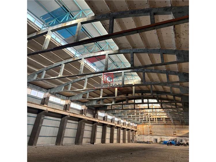 Vanzare spatiu industrialhaladepozit Giurgiu - Port, Giurgiu - 8