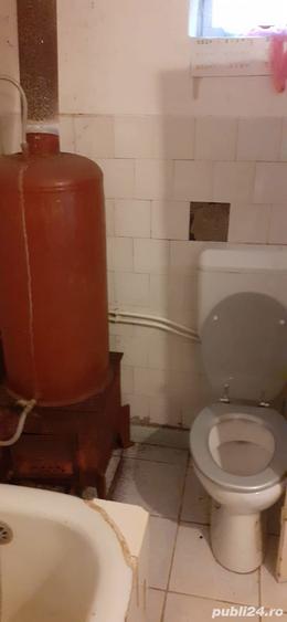 Vand casa de locuit, sat Braznic, com. Ilia, jud. Hunedoara - 4