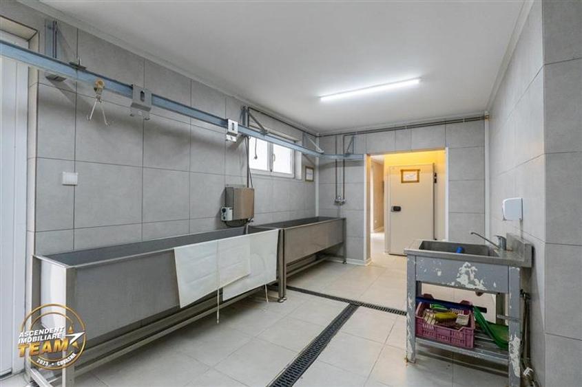 FILM! Ferma de iepuri,Malnas,Covasna: domeniu:industrial/comercial,asset UE - 35