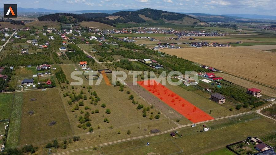 Teren intravilan Livada Sanpetru - 1