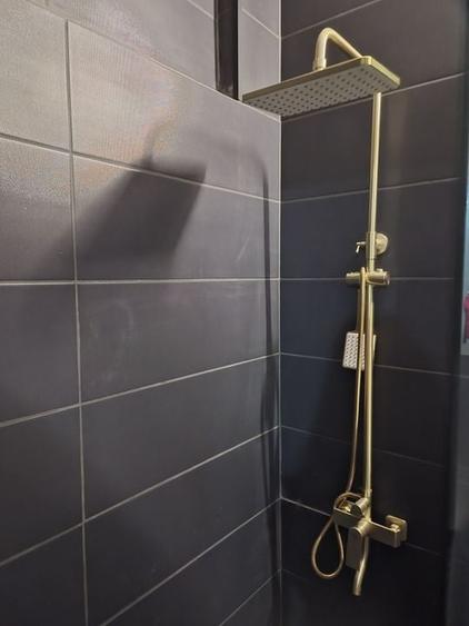 De vânzare Vilă individuala 11 camere curte proprie Parcul Carol - 11