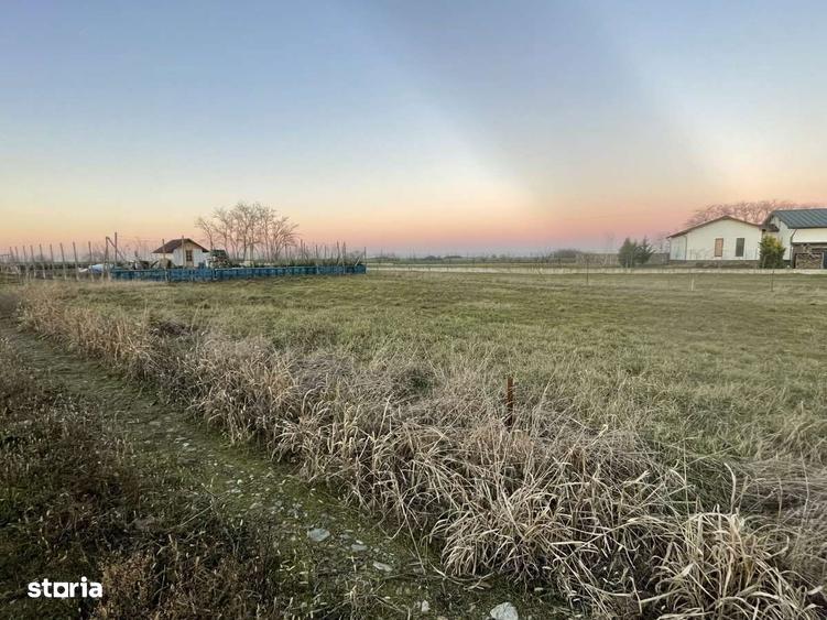 Teren intravilan 474 mp Sanpaul | Front stradal de 22 m | 15.000 E - 8