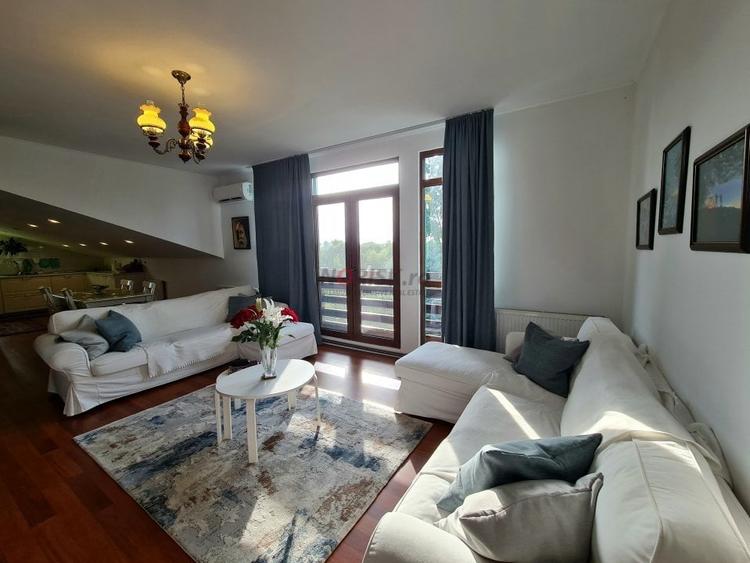 Vila + Afacere 15.000mp Clinceni - 14