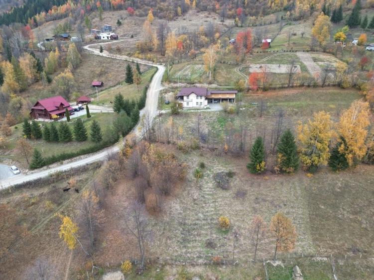 Teren Arsita Poienii - 4