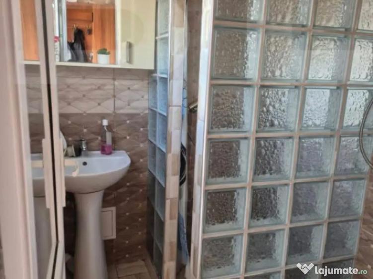 Vand casa centrala str. Ion Popovici Banateanu nr.17 utilata - 12