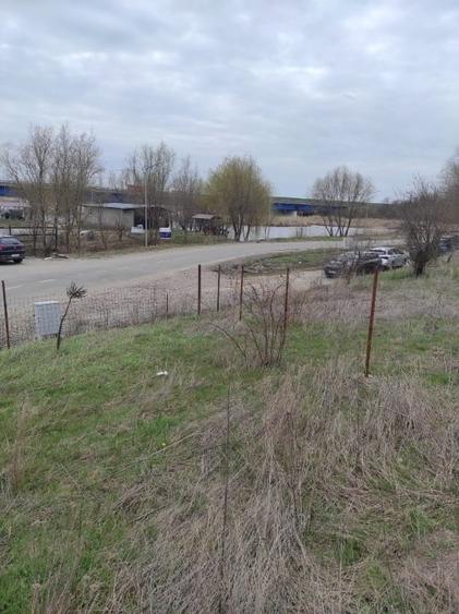 Teren de vanzare intravilan in Branesti IF - 3
