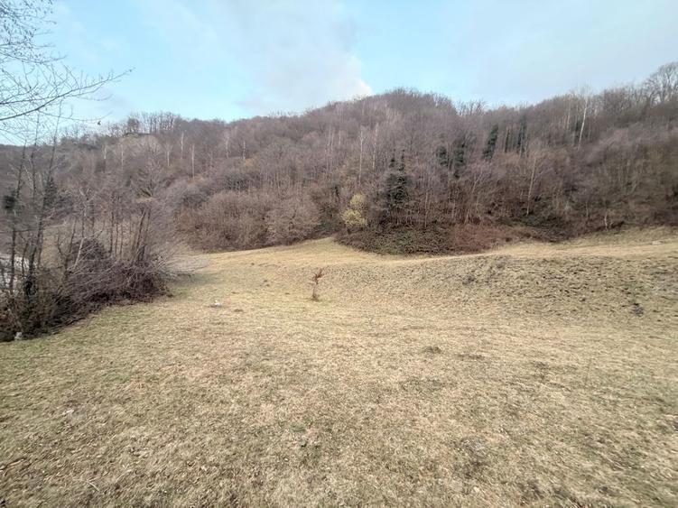 Vand Teren Valea Streiului ! - 2