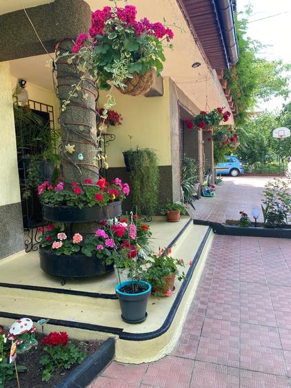 Casă spațioasă în Chiajna- Roșu, ideală pentru rezidențial sau afaceri! - 20