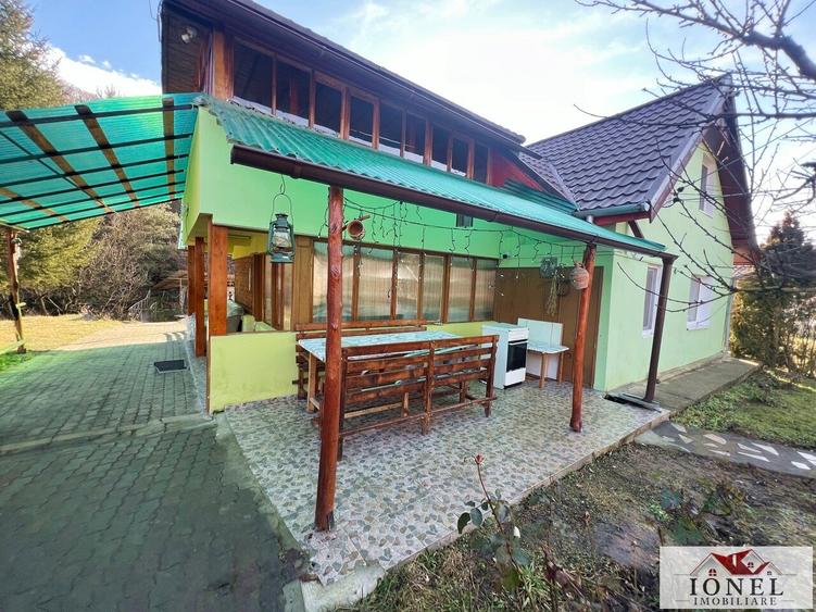Casa de vacanta cu balta de peste de vanzare in Glogovet (Valea Lunga) - Blaj - 4