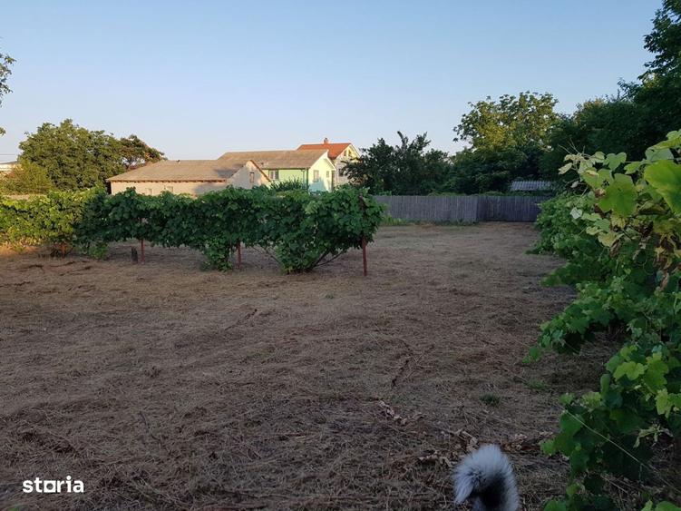 Teren Eforie Nord 500 mp (cu posibilitate extindere la 700mp) - 4