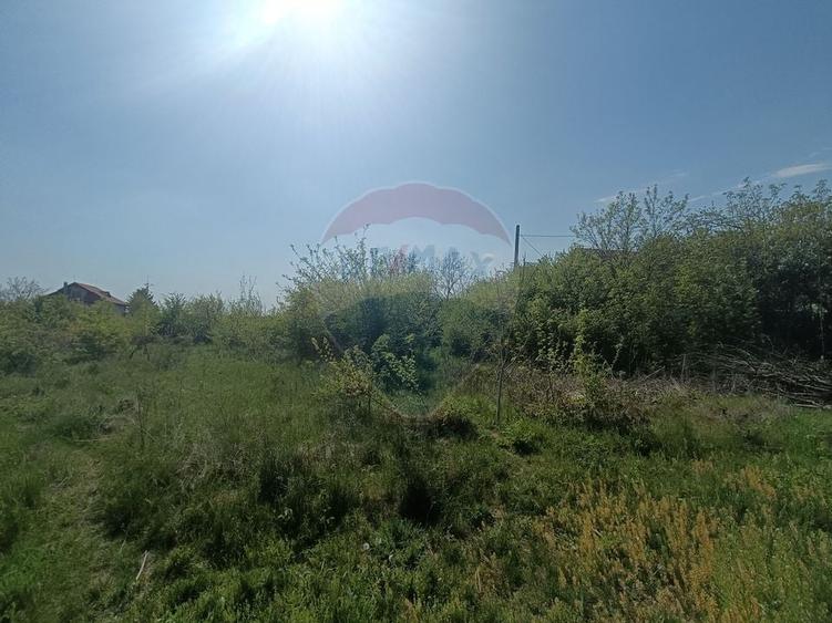 Vanzare Teren Constructii Langa Lac și Padure | Branesti | Ocazie! - 7