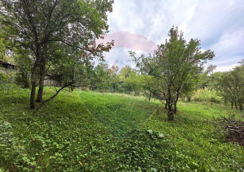 Casa traditionala De Vanzare cu 5 Hectare de teren - 1