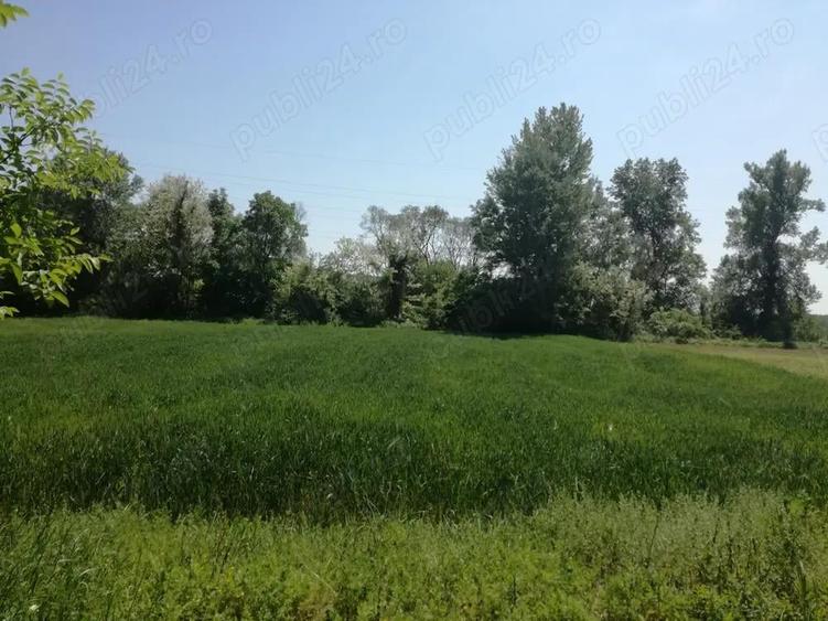 Teren intravilan 5390mp, Vladimir-Andreesti, jud Gorj - 1