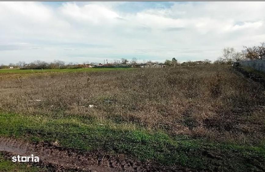 Teren de 1578 mp, în Mălureni