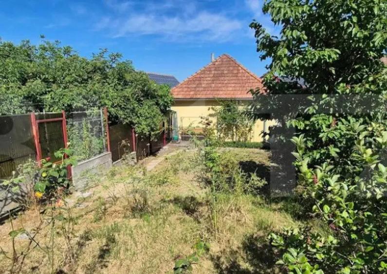 Casa centrala , 2 camere ,renovata - 8