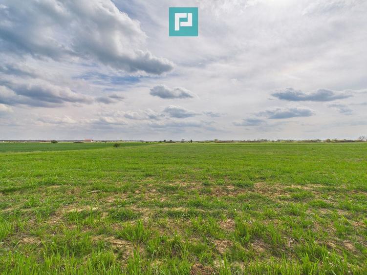 Teren extravilan 2050 mp, Giroc - 3