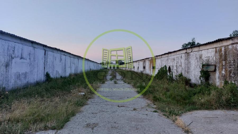 Hale industriale, 7000 mp, Pielesti - 2