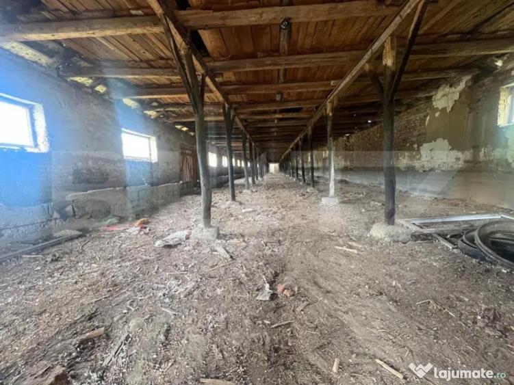 Ferma cu 3000 mp de teren si o constructie de 580 mp - 2