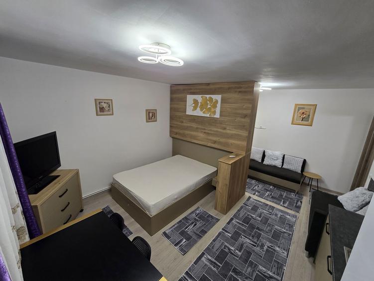 Garsoniera / studio de inchiriat in casa/vila zona case Banat - 7