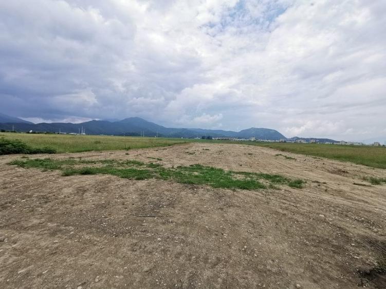 Teren pentru hale si depozite Timisul sec- Uzina 2 front la ocolitoare - 7