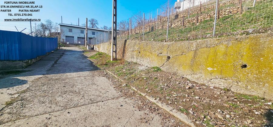 Hala si teren , Piatra Neamt - 3