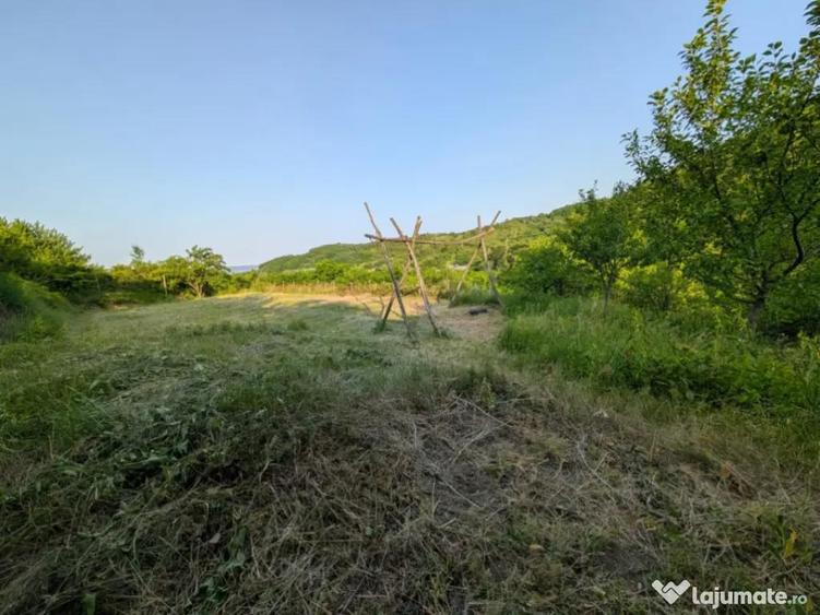 Sarata Bai- Oportunitate investi?ie- 4038 mp- priveli?te - 6