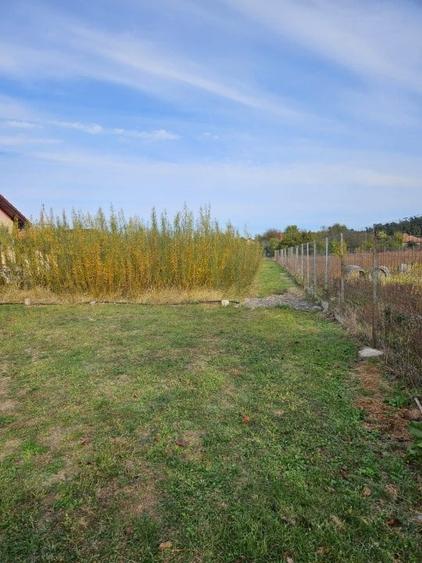 Bazosu Nou - Teren 1200mp - Utilitati - 1