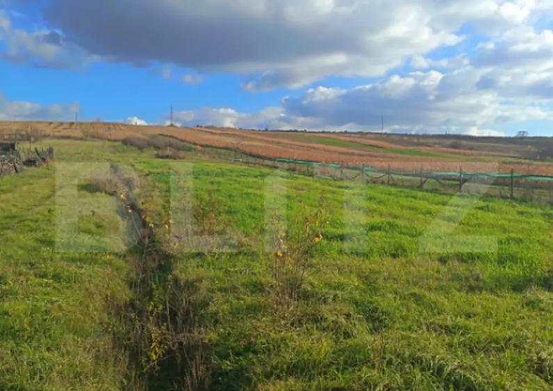 Teren extravilan, 7800 mp, intrare in ?imleu Silvanie - 2